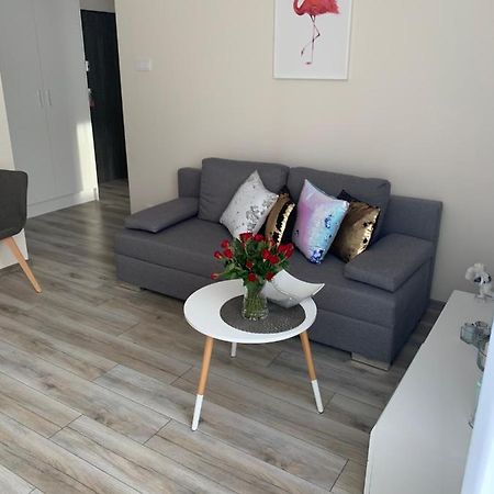 Apartament Walczaka 25 Miejsce Parkingowe Гожув-Велькопольски Экстерьер фото