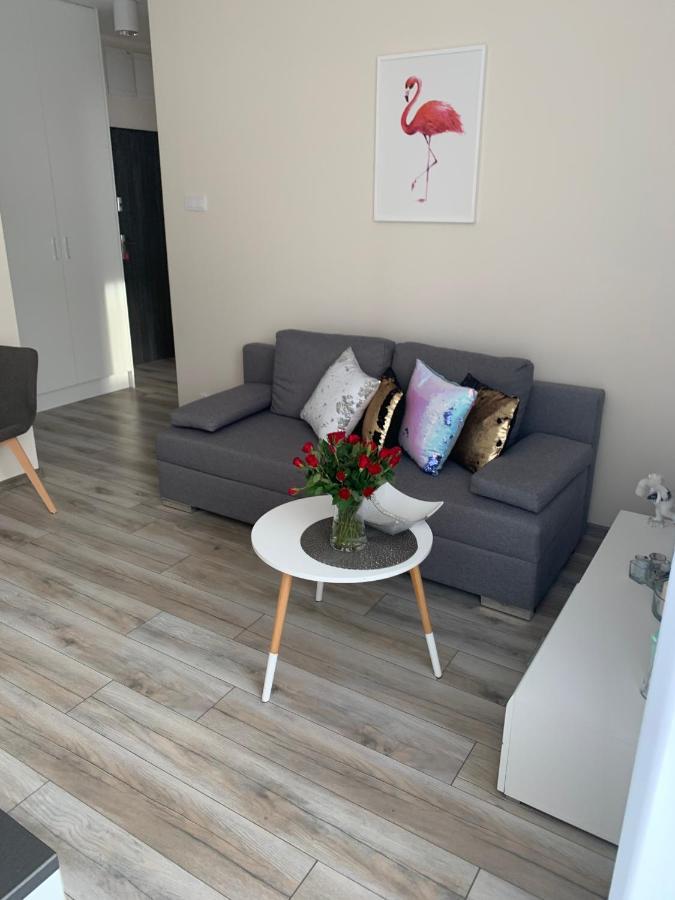 Apartament Walczaka 25 Miejsce Parkingowe Гожув-Велькопольски Экстерьер фото